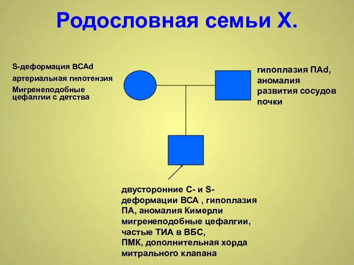 Родословная семьи Х. гипоплазия ПАd, аномалия развития сосудов почки двусторонние С-