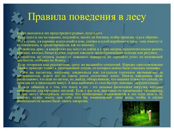 Правила поведения в лесу Перед выходом в лес предупредите родных, куда