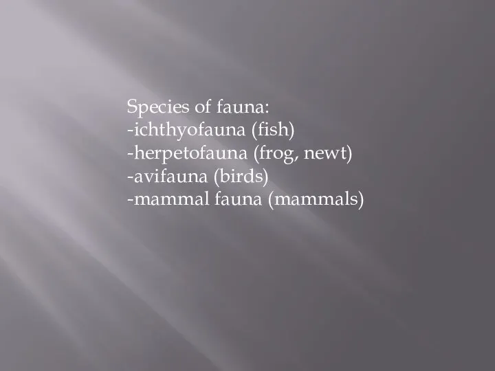 Species of fauna: -ichthyofauna (fish) -herpetofauna (frog, newt) -avifauna (birds) -mammal fauna (mammals)