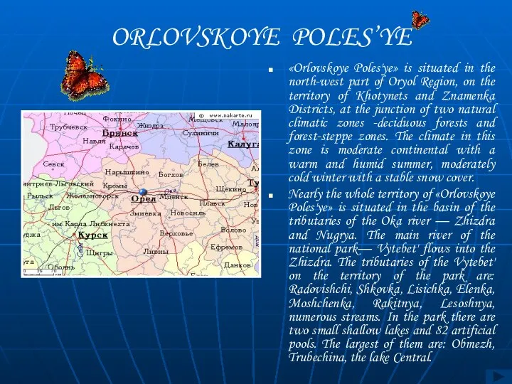 ORLOVSKOYE POLES’YE «Orlovskoye Poles'ye» is situated in the north-west part of