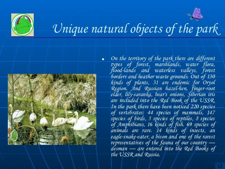 Unique natural objects of the park On the territory of the