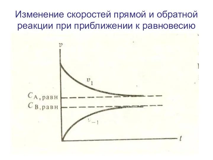 Изменение скоростей прямой и обратной реакции при приближении к равновесию