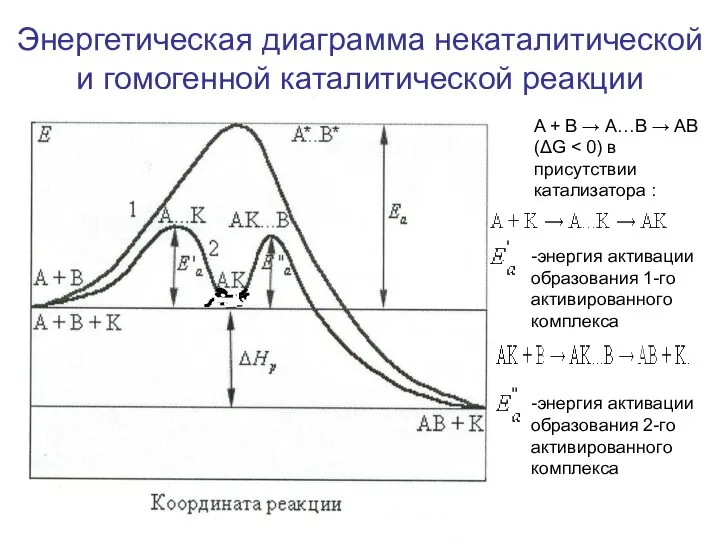 Энергетическая диаграмма некаталитической и гомогенной каталитической реакции A + B →