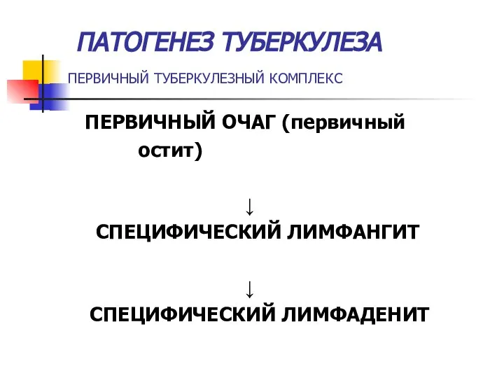 ПАТОГЕНЕЗ ТУБЕРКУЛЕЗА ПЕРВИЧНЫЙ ТУБЕРКУЛЕЗНЫЙ КОМПЛЕКС ПЕРВИЧНЫЙ ОЧАГ (первичный остит) ↓ СПЕЦИФИЧЕСКИЙ ЛИМФАНГИТ ↓ СПЕЦИФИЧЕСКИЙ ЛИМФАДЕНИТ