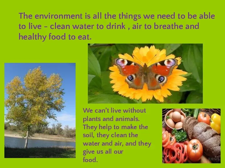 The environment is all the things we need to be able