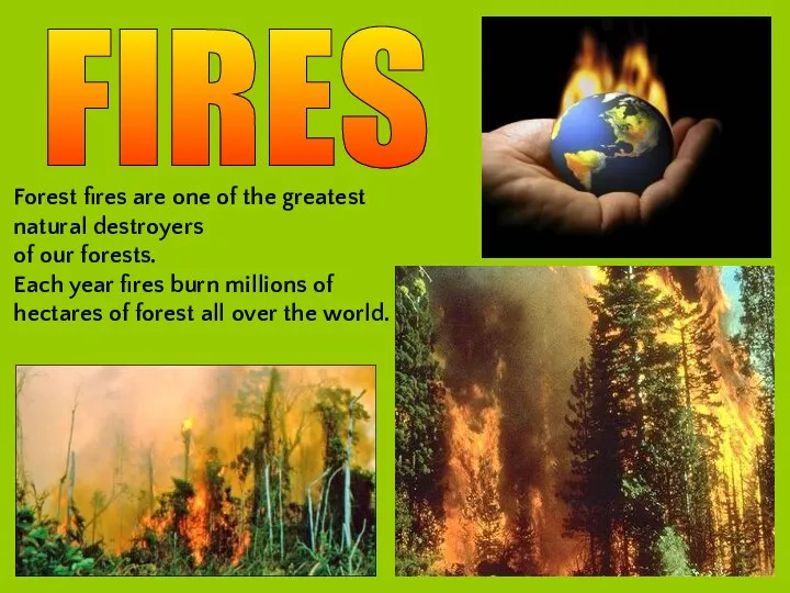 FIRES Forest fires are one of the greatest natural destroyers of