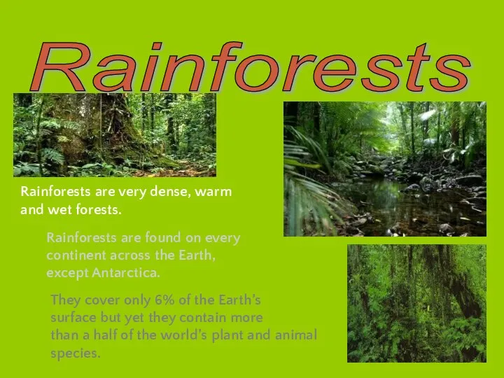 Rainforests Rainforests are very dense, warm and wet forests. Rainforests are