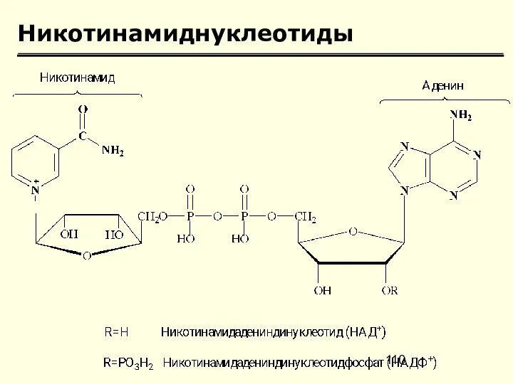 Никотинамиднуклеотиды