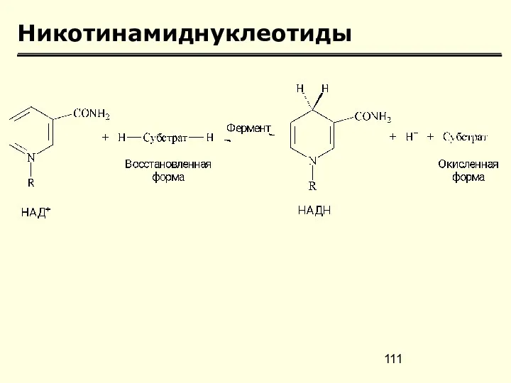 Никотинамиднуклеотиды