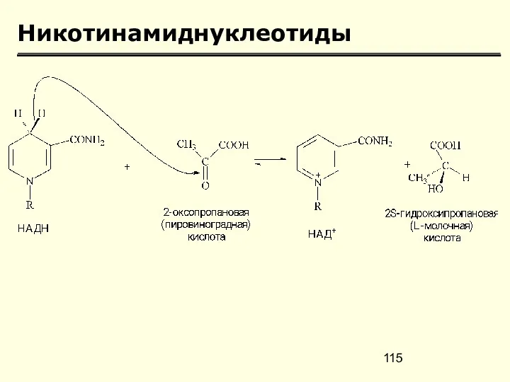 Никотинамиднуклеотиды