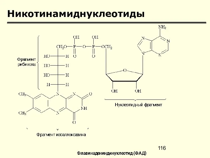 Никотинамиднуклеотиды