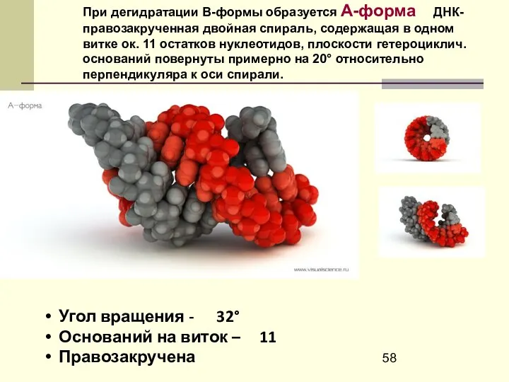 Угол вращения - 32° Оснований на виток – 11 Правозакручена При