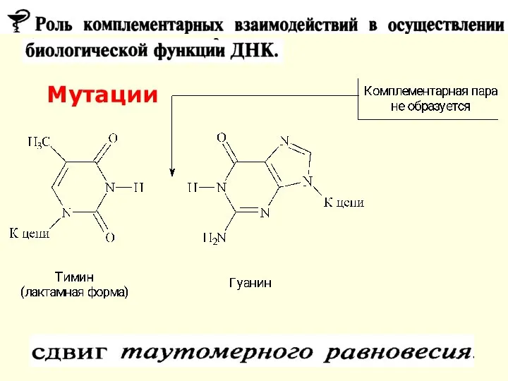 Мутации