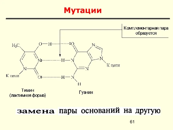 Мутации