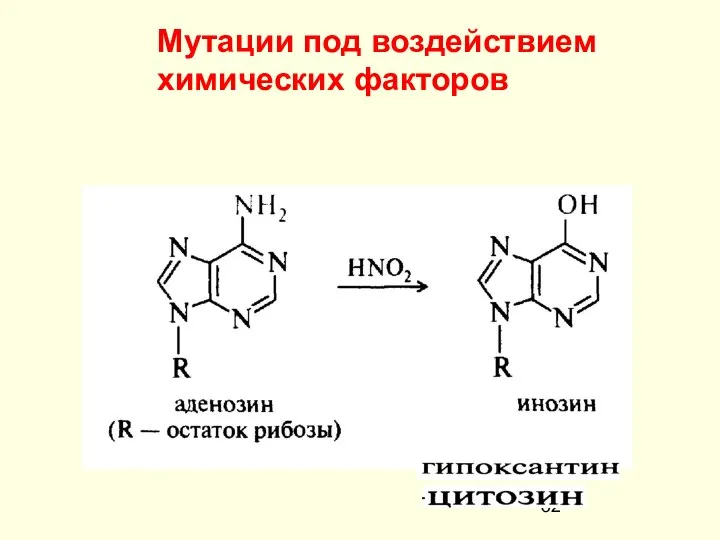 Мутации под воздействием химических факторов