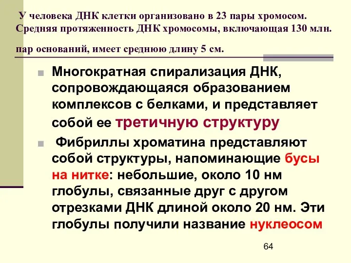 У человека ДНК клетки организовано в 23 пары хромосом. Средняя протяженность