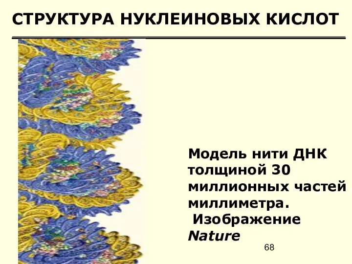 СТРУКТУРА НУКЛЕИНОВЫХ КИСЛОТ Модель нити ДНК толщиной 30 миллионных частей миллиметра. Изображение Nature