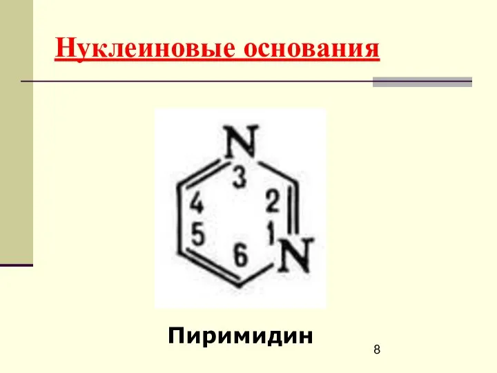 Нуклеиновые основания Пиримидин