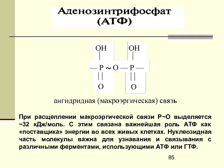 При расщеплении макроэргической связи Р~О выделяется ~32 кДж/моль. С этим связана