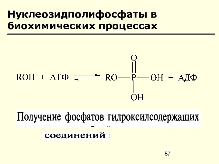 Нуклеозидполифосфаты в биохимических процессах