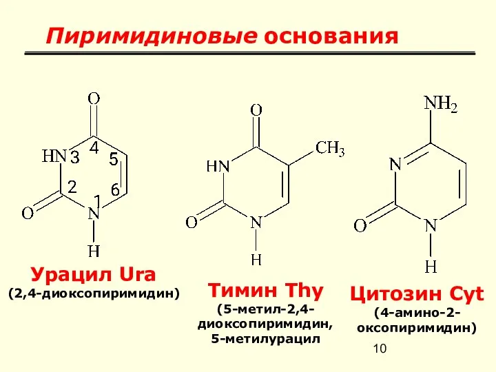 Пиримидиновые основания Урацил Ura (2,4-диоксопиримидин) Тимин Thy (5-метил-2,4-диоксопиримидин, 5-метилурацил Цитозин Cyt (4-амино-2-оксопиримидин)