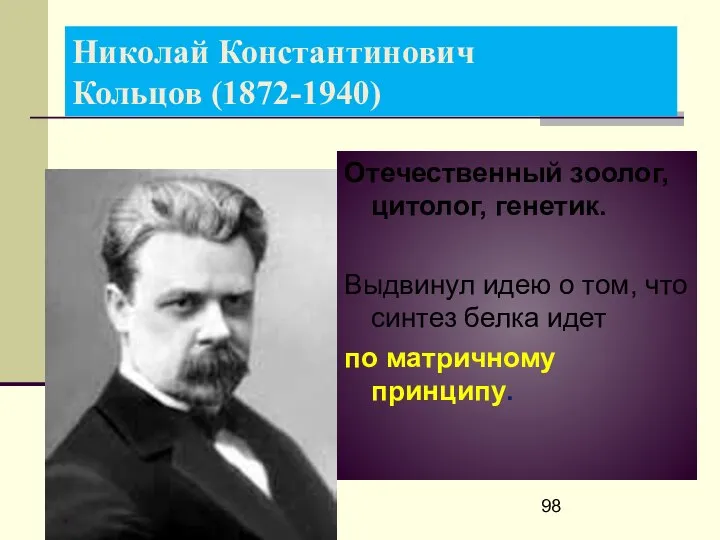 Николай Константинович Кольцов (1872-1940) Отечественный зоолог, цитолог, генетик. Выдвинул идею о