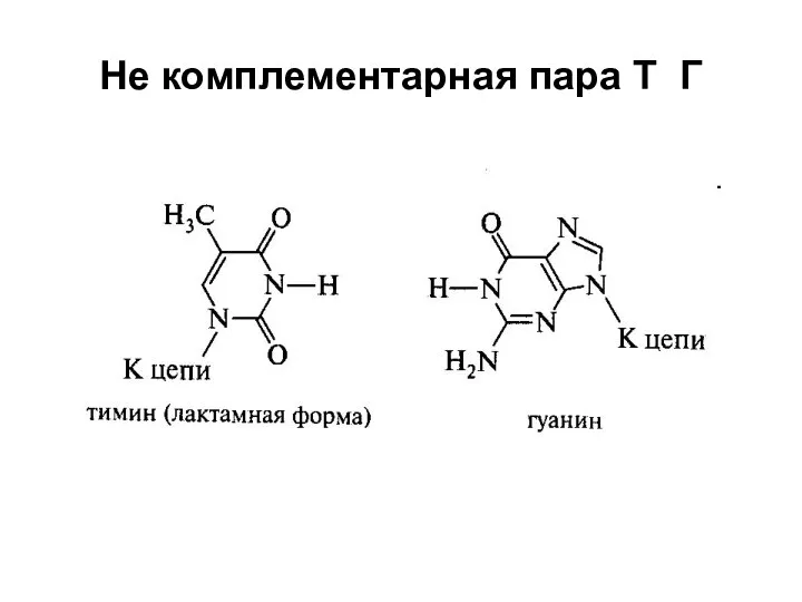 Не комплементарная пара Т Г