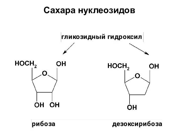 Сахара нуклеозидов