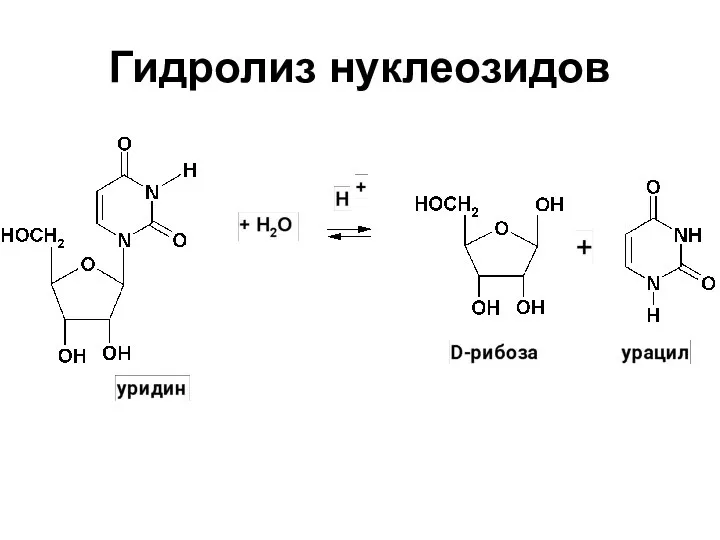 Гидролиз нуклеозидов