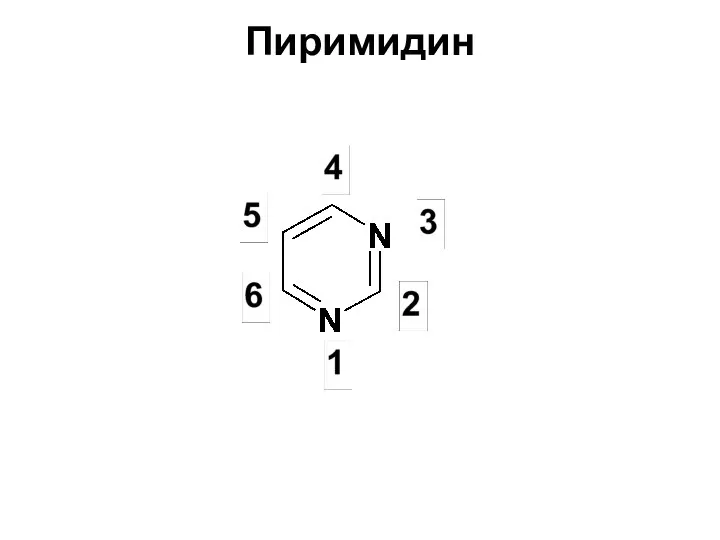 Пиримидин