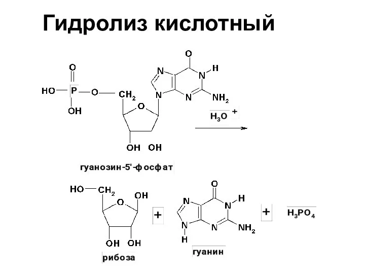 Гидролиз кислотный