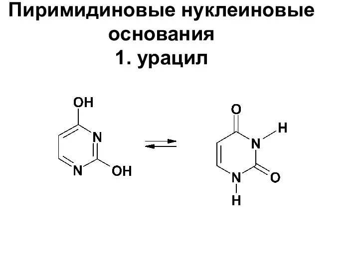 Пиримидиновые нуклеиновые основания 1. урацил