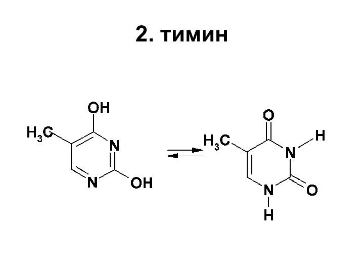2. тимин