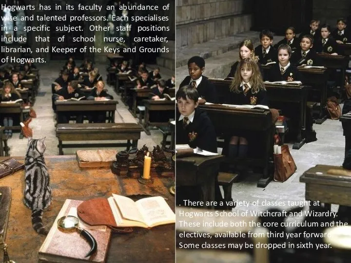 Hogwarts has in its faculty an abundance of wise and talented