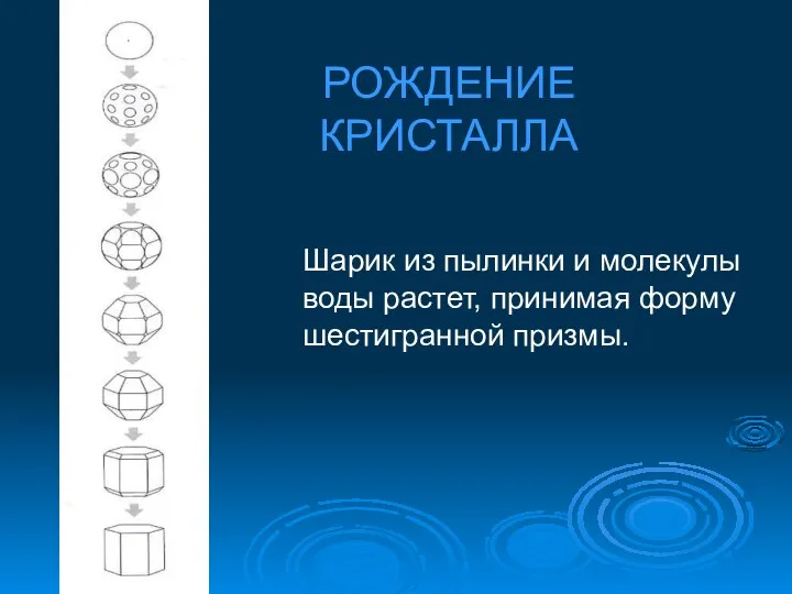 РОЖДЕНИЕ КРИСТАЛЛА Шарик из пылинки и молекулы воды растет, принимая форму шестигранной призмы.