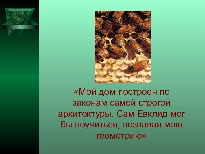 «Мой дом построен по законам самой строгой архитектуры. Сам Евклид мог бы поучиться, познавая мою геометрию»