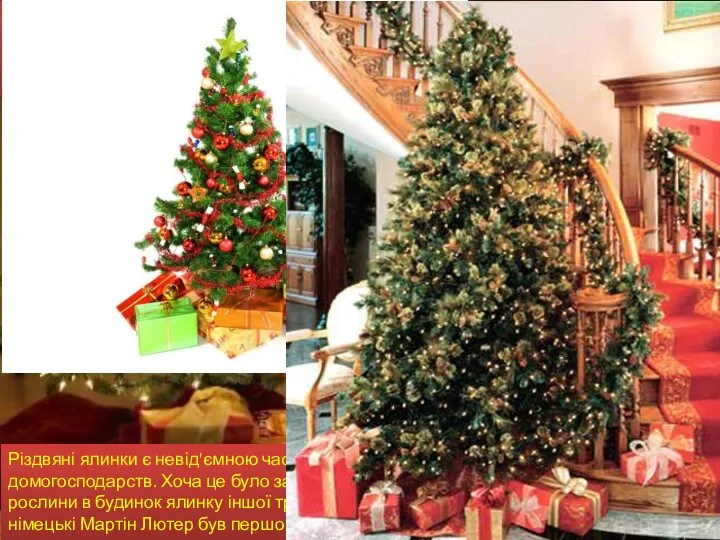 Christmas trees are an integral part of the Christmas decorations in