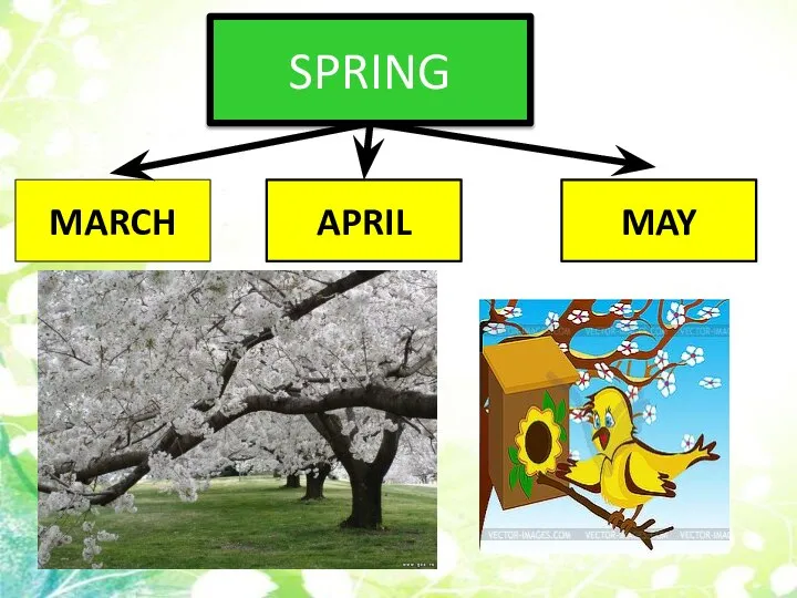 SPRING MARCH APRIL MAY