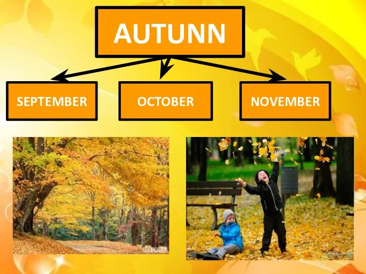 AUTUNN SEPTEMBER NOVEMBER OCTOBER