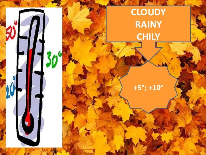 CLOUDY RAINY CHILY +5°; +10°