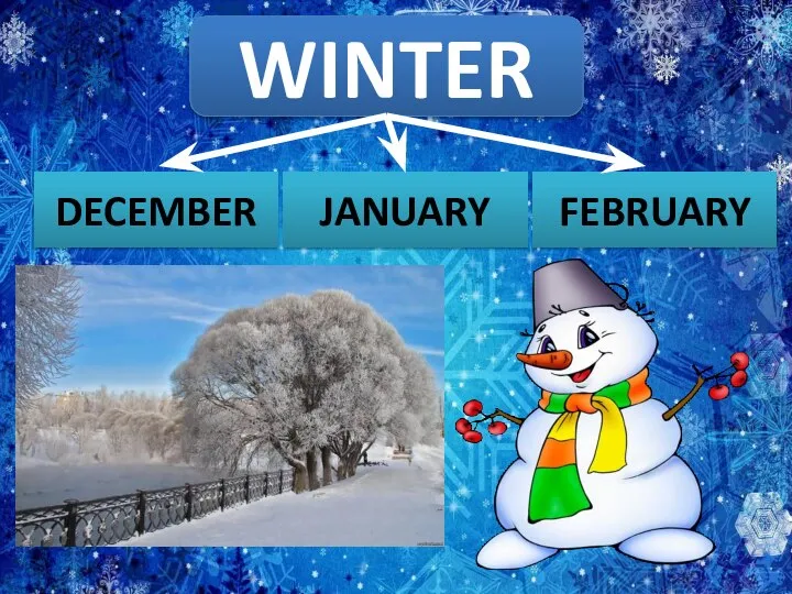 WINTER DECEMBER JANUARY FEBRUARY