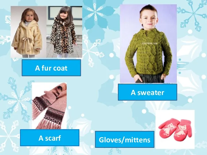 A fur coat A sweater A scarf Gloves/mittens
