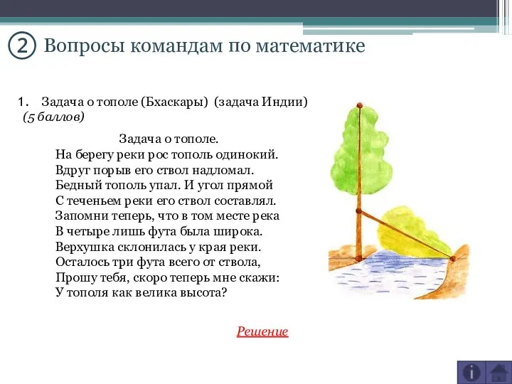 ② Вопросы командам по математике Задача о тополе (Бхаскары) (задача Индии)