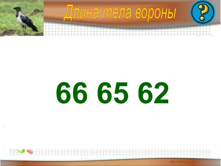 Длина тела вороны 72-6 = 71-9 = 5 3 2 4