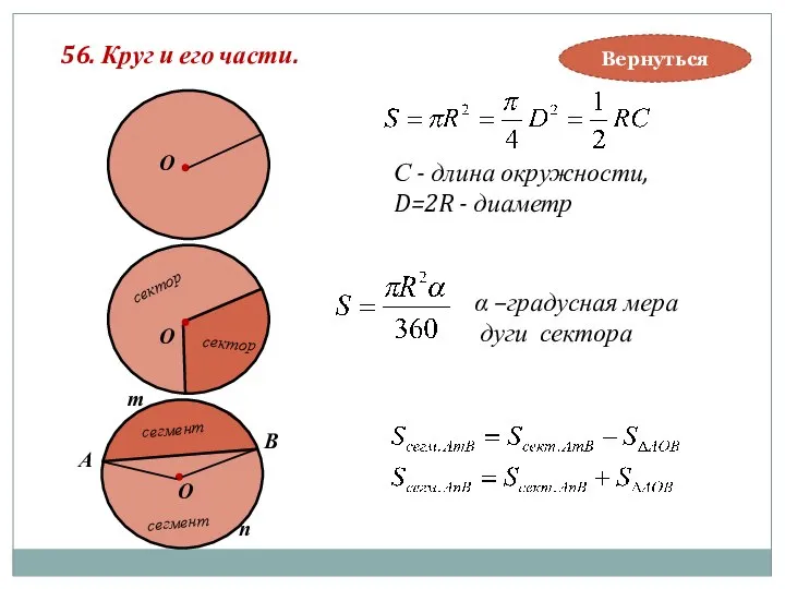 сектор сектор 56. Круг и его части. О О О сегмент