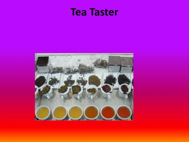 Tea Taster