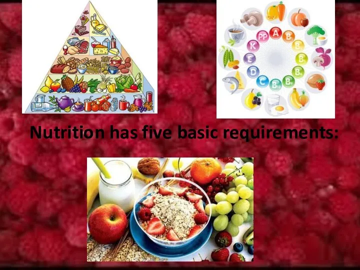 Nutrition has five basic requirements: