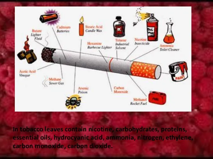 In tobacco leaves contain nicotine, carbohydrates, proteins, essential oils, hydrocyanic acid,