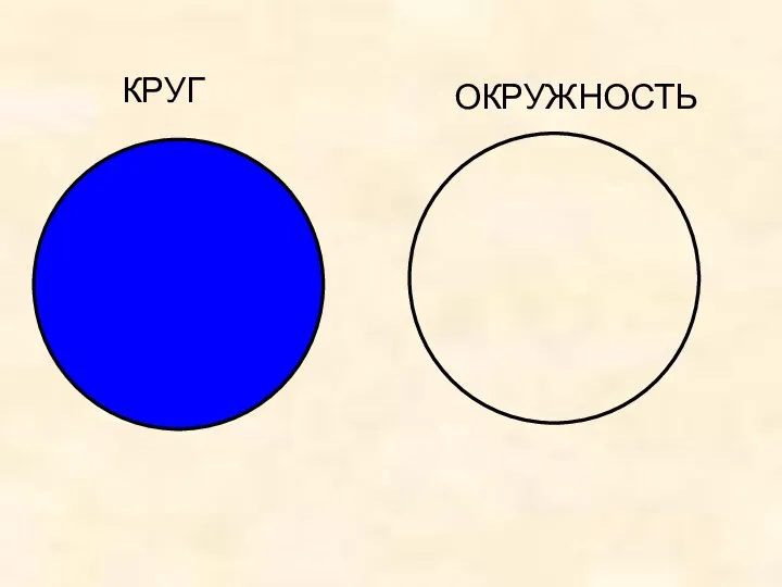 КРУГ ОКРУЖНОСТЬ