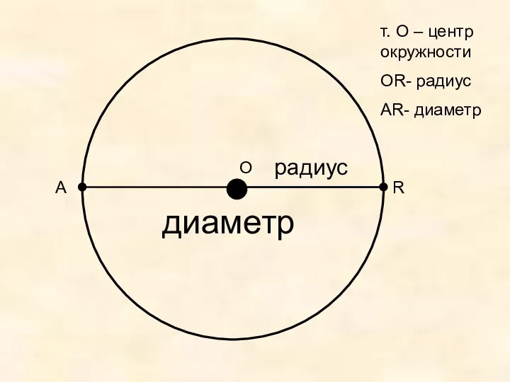 О R т. О – центр окружности ОR- радиус АR- диаметр радиус диаметр А